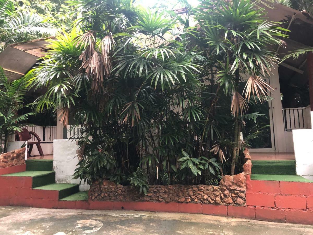 Pine Bungalow Krabi Exterior foto